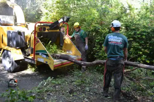 tree services Altadena